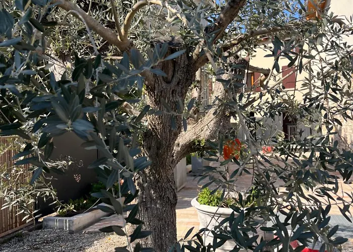 Le Residenze Del Lugana
